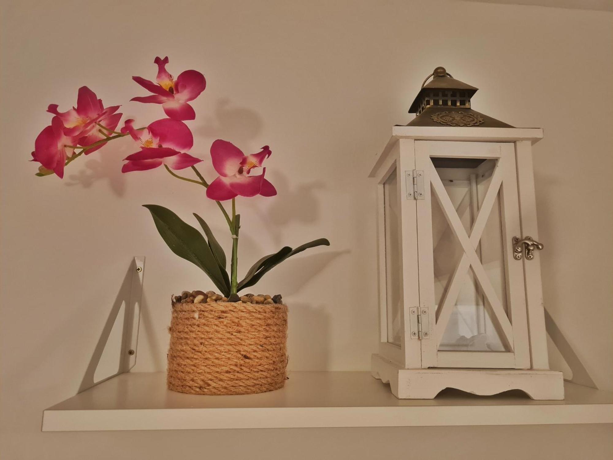 Holiday Place Veli Dvor - Vacation House With Private Garden In Old Town Punat Exterior foto